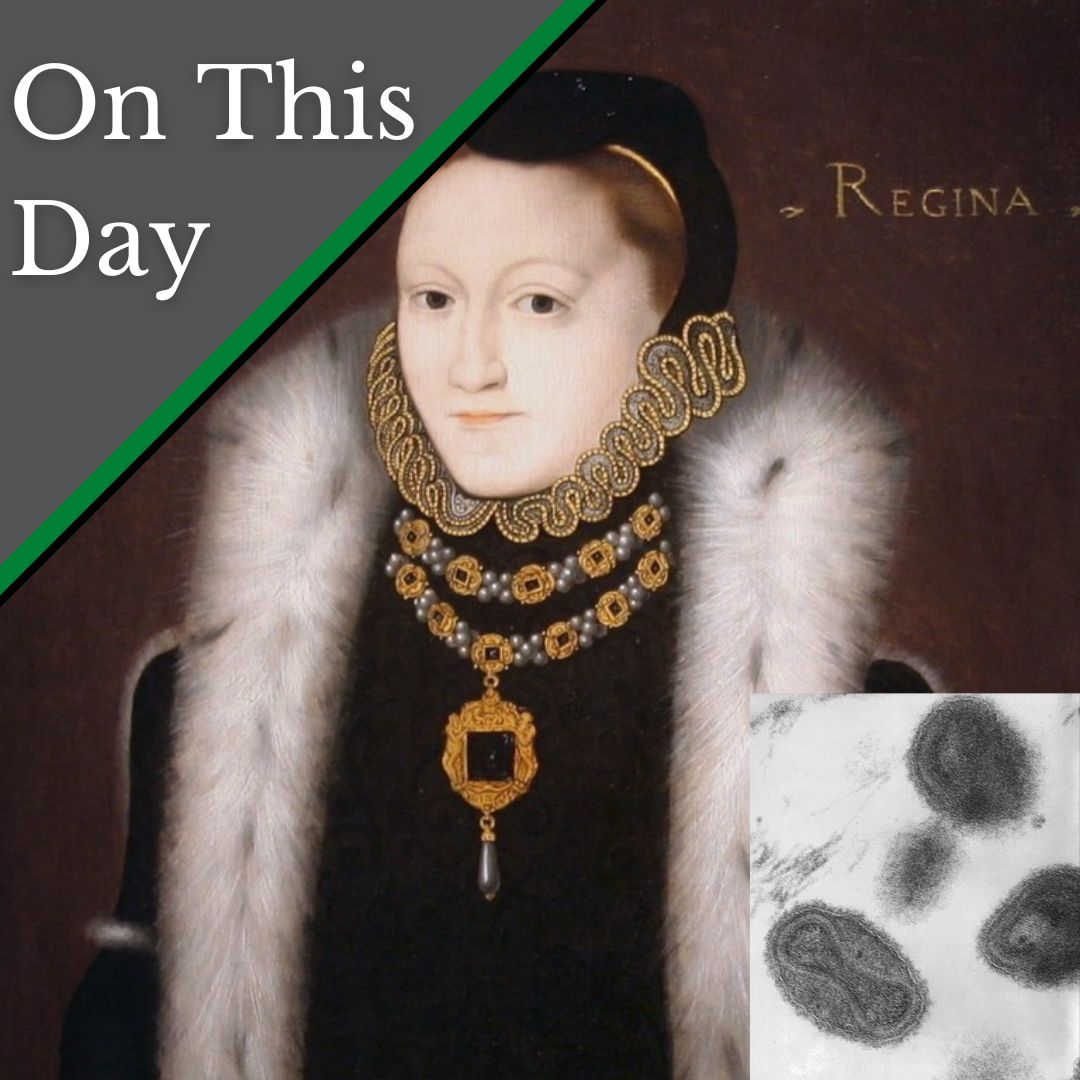 October 10 - Elizabeth I gets smallpox - The Anne Boleyn Files